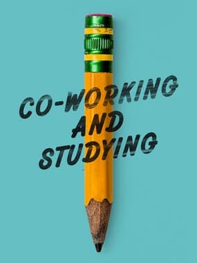 Co-working & Studying